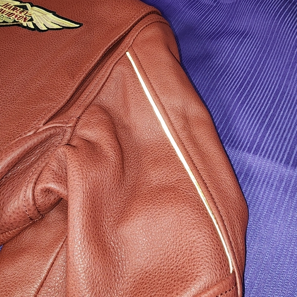 Harley-Davidson 120th Anniversary Collectors Edition Women's Leather Jacket - Picture 14 of 15